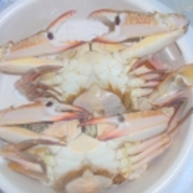 蒸しワタリガニと黙々と食すための蟹酢 レシピ 作り方 By めーぷんぷい 楽天レシピ 蒸しワタリガニと黙々と食すための蟹酢 レシピ 作り方 By めーぷんぷい 楽天レシピ